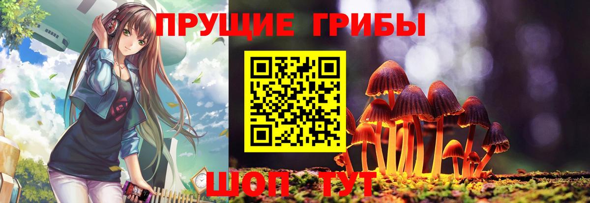 Псилоцибиновые грибы Psilocybine cubensis Сердобск